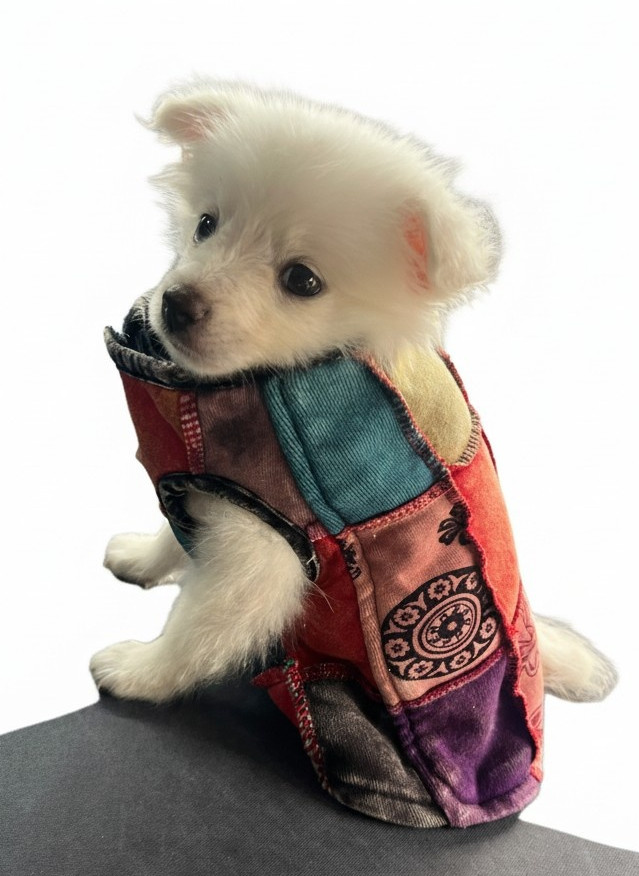 Fleece-Lined Dog Winter Jacket 3